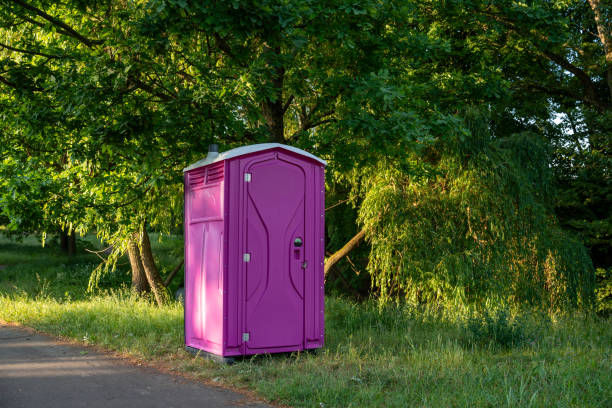 Best Portable restroom solutions  in Lovelock, NV